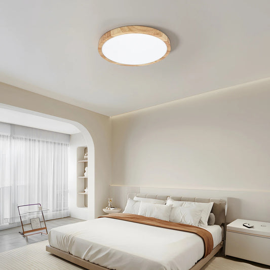 LED Ceiling Light